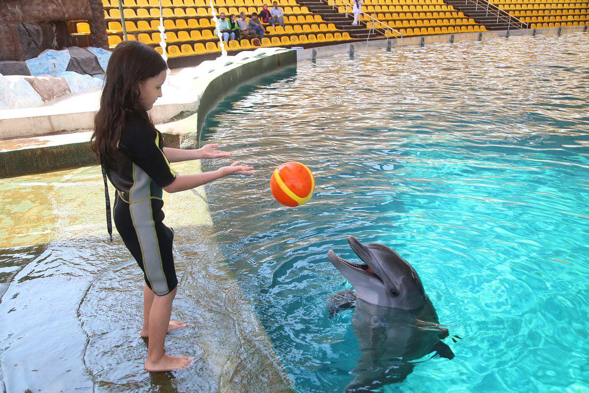 Kish Water Entertainments - Dolphins Park